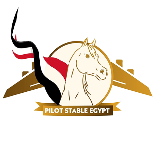 Pilotstable